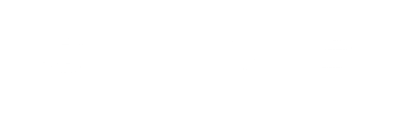 SLZR — visuales resilientes
